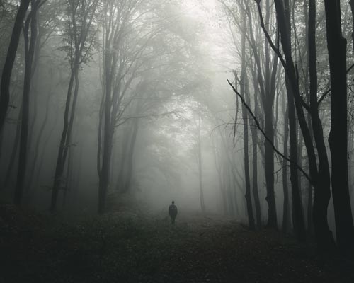 Spannende Thriller und gruselige Geschichten begeistern uns vor dem Einschlafen und auch tagsüber mit Angstlust!